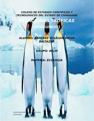 Redes Troficas De Los Pinguinos