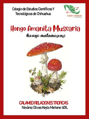 Calameo Relaciones Troficas