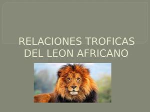 Relaciones Troficas Del Leon Africano