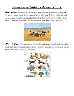 Relaciones Tróficas De Las Cebras