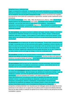 Perspectiva 4 Contextual