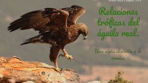 Relaciones Tróficas Del Águila Real