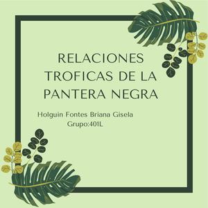 Relaciones Troficas De La Pantera Negra