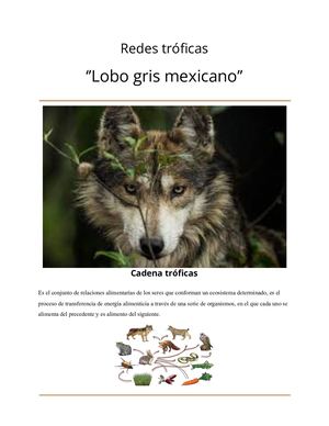 Relaciones tróficas del lobo gris mexicano