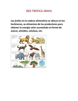 Red trofica jirafa