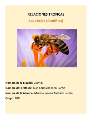 Relaciones Troficas De Las Abejas