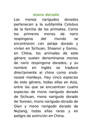 Mono Dorado（金丝猴）