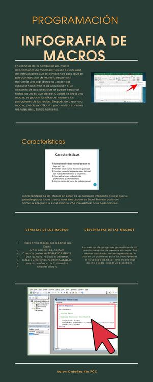 Infografia De Macros Progra