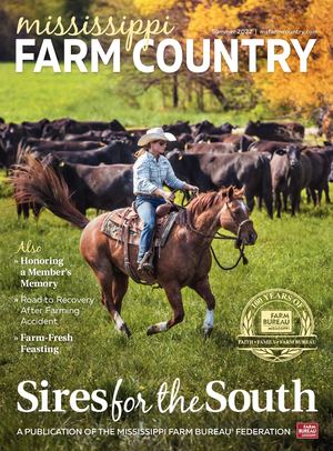 Mississippi Farm Country