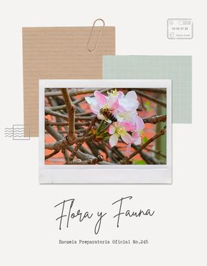 Catálogo Flora Fauna Epo 245 Trabajo Parejas Ecología Y Medio Ambiente 3 2