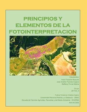 PRINCIPIOS Y ELEMENTOS DE FOTOINTERPRETACION
