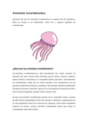 Animales Invertebrados