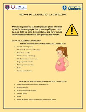 Signos De Alarma Gestantes