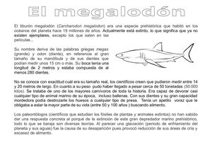 Megalodon