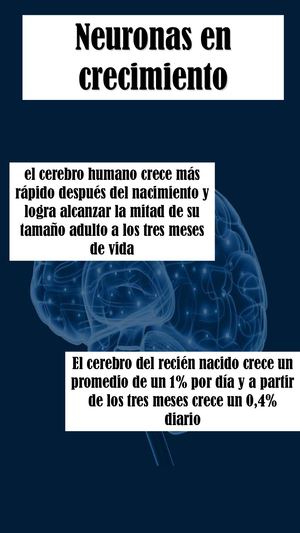 Revista crecimiento de neuronas