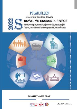 2022 Ekonomik Ve Sosyal Rapor