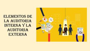 Elementos De La Auditoria Interna Y Externa