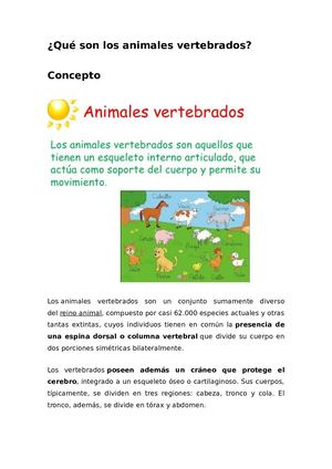 Definicion E Historia De Los Animales Vertebrados