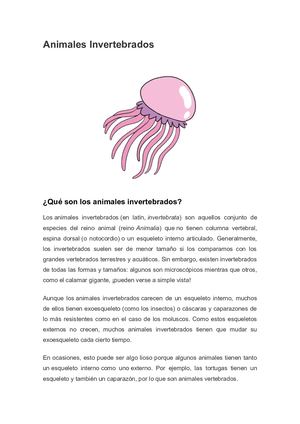 Animales Invertebrados