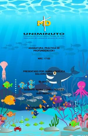 Antonimo, Un Tiburon Confuso En La Profundidad Del Oceano Rojo