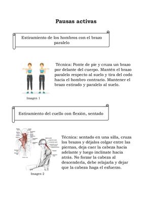 Estiramientos para pausas activas. Ergonomia.Leidy Ballen1