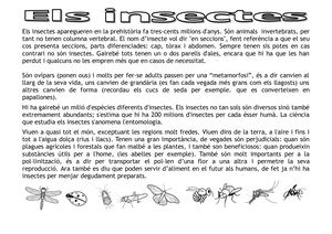 Els Insectes