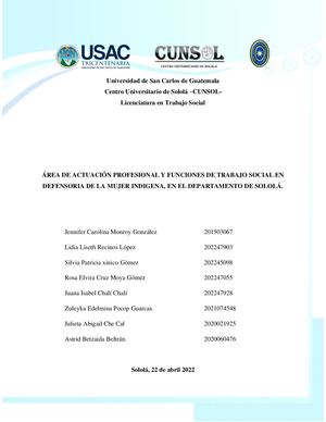 Grupo 5 ÁRea De Actuación Profesional Y Funciones De Trabajo Social En Defensoria De La Mujer Indigena En El Departamento De Solola