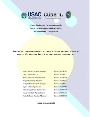 Grupo 6 ÁRea De Actuación Profesional Y Funciones De Trabajo Social En Asociación Nido Del ÁGuilaa En Departamento De Solola