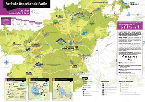 Carte Foret de Brocéliande Facile 2022