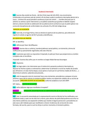 Pautas Audiencia Intermedia