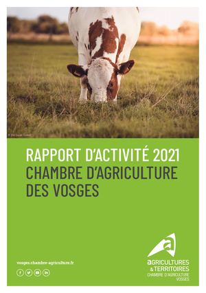 Rapport d'activité 2021 Vosges