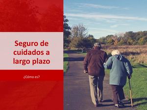 Hjalmar Gibelli - Cuidados A Largo Plazo