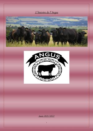 l'histoire de la race Angus