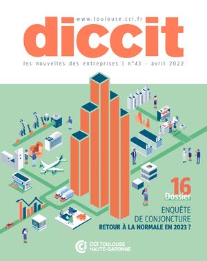 Diccit 43 Web