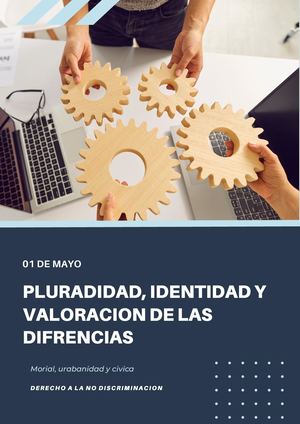 Pluralidad Identidad