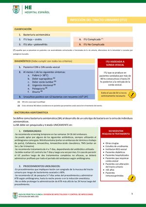 Infeccion Urinaria Heba 2022