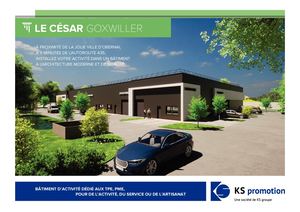 Ks Promotion César Goxwiller