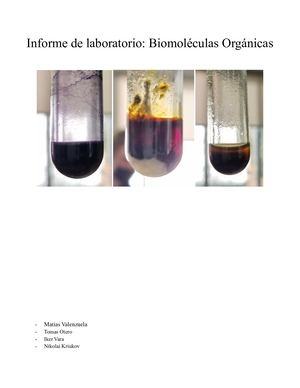 Informe Laboratorio Biomoléculas - v3
