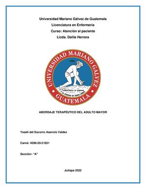 Abordaje Terapéutico Del Adulto Mayor