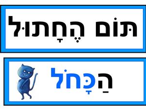 ספר דיגיטלי תום החתול הכחול Pptx