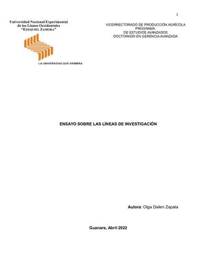 Ensayo Sobre Las Líneas De Investigación Olga Zapata 22