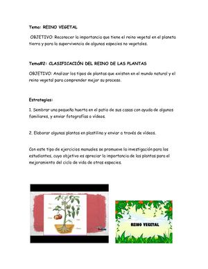 Reino Vegetal 3°