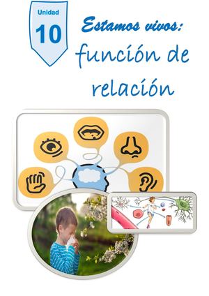 Unidad 10 La función de relación humana