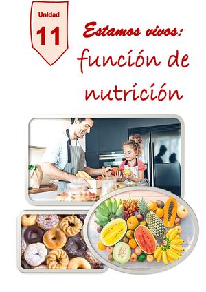 Unidad 11 La función de nutrición humana