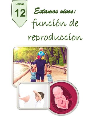 Unidad 12 La función de reproducción humana