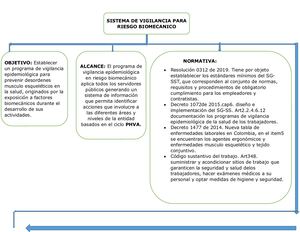 SISTEMA DE VIGILANCIA PARA RIESGO BIOMECANICO