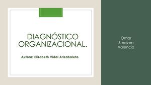 Diagnóstico Organizacional