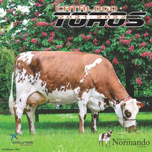 Catálogo Toros NORMANDO - ASONORMANDO 2021 -  2022