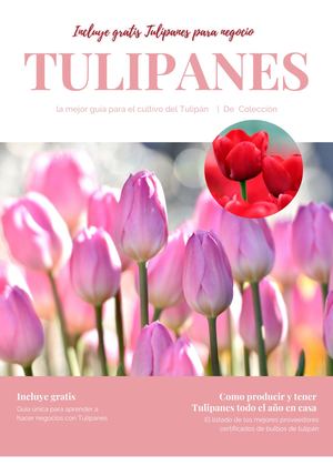 Libro Tulipanes Y Bulbos De Tulipan 100% Practico Inncluye Bono Regalo Para Negocios!