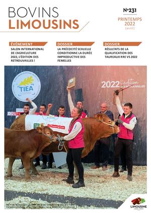 Bovins Limousins 231 / Extrait
